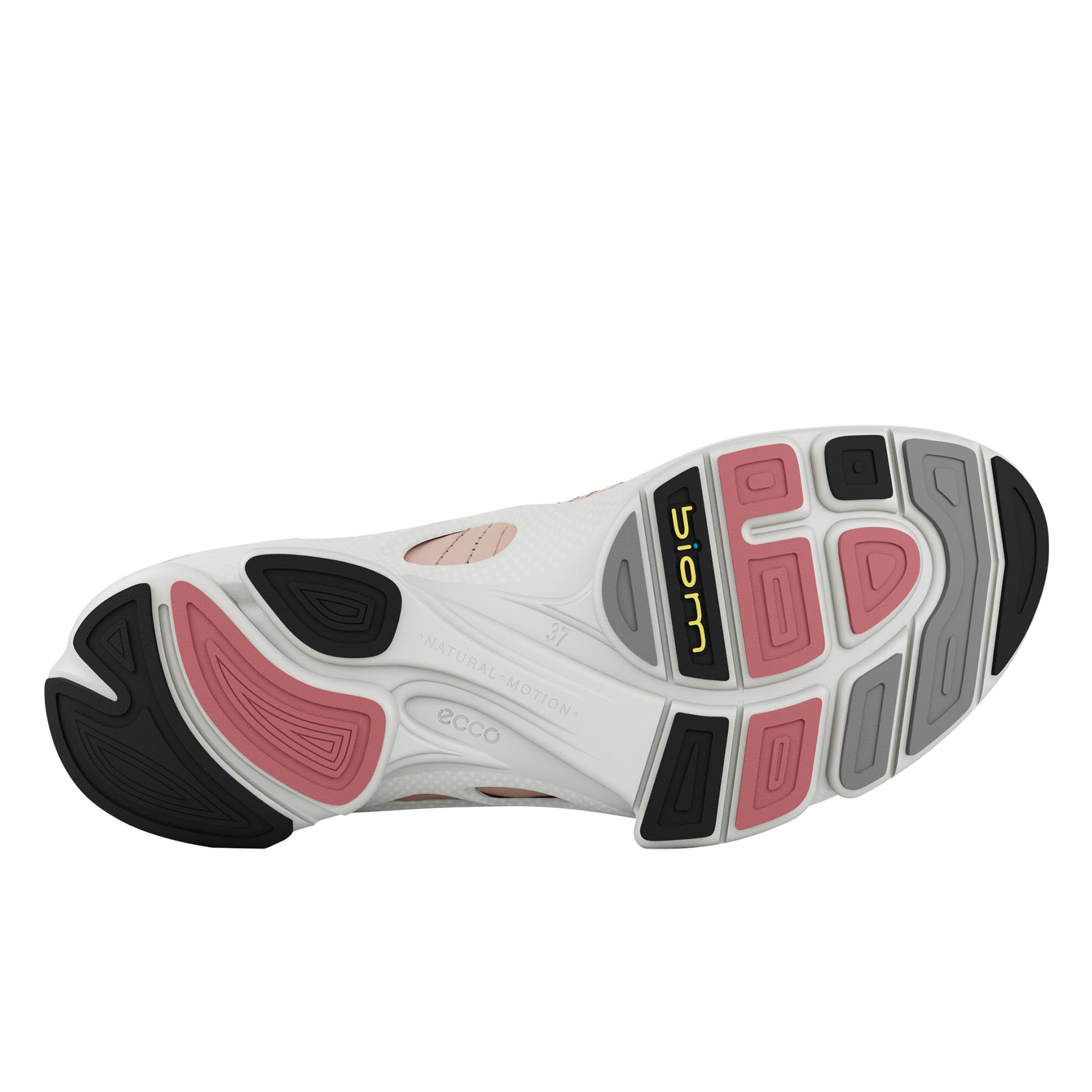 Biom C Ladies + colour