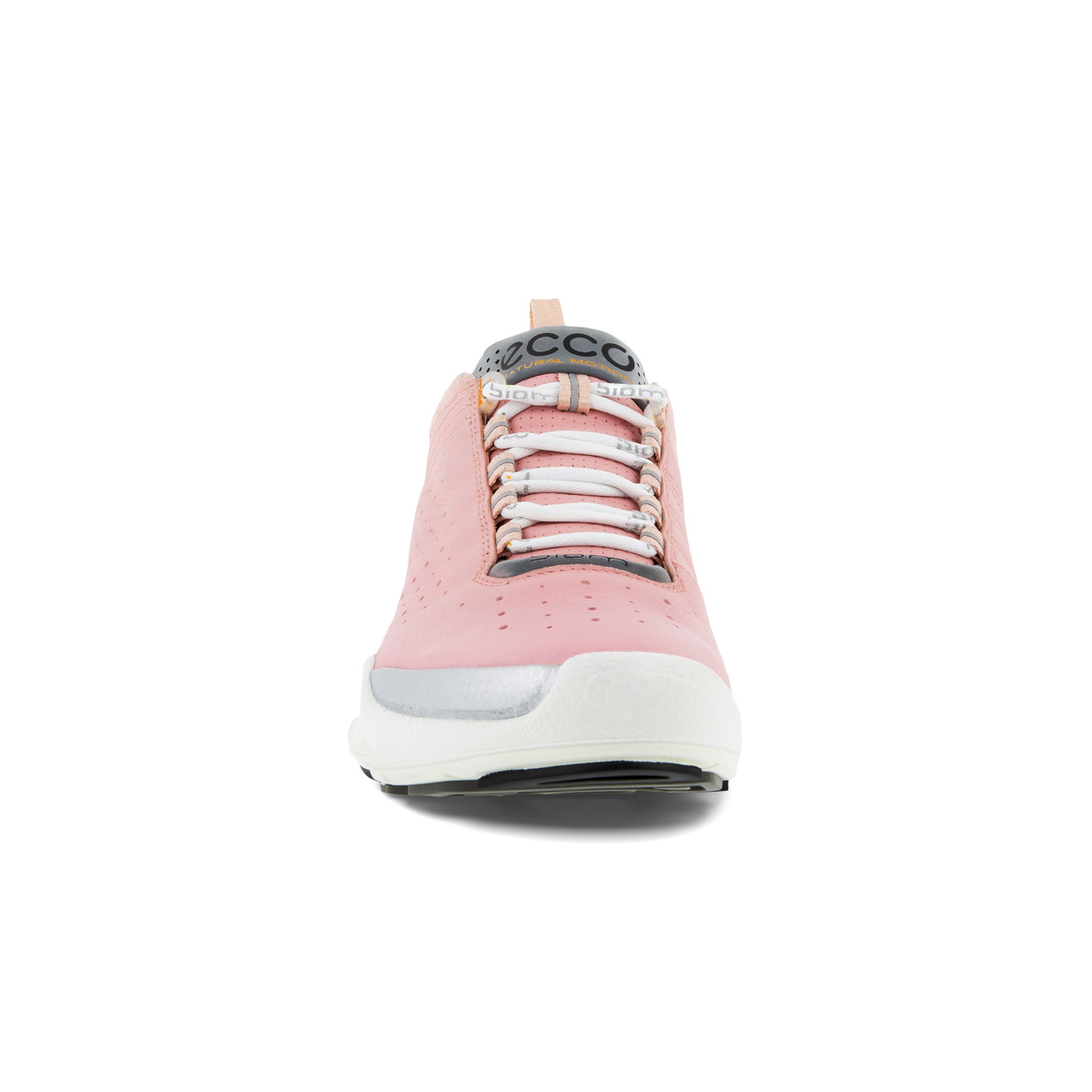 Biom C Ladies + colour