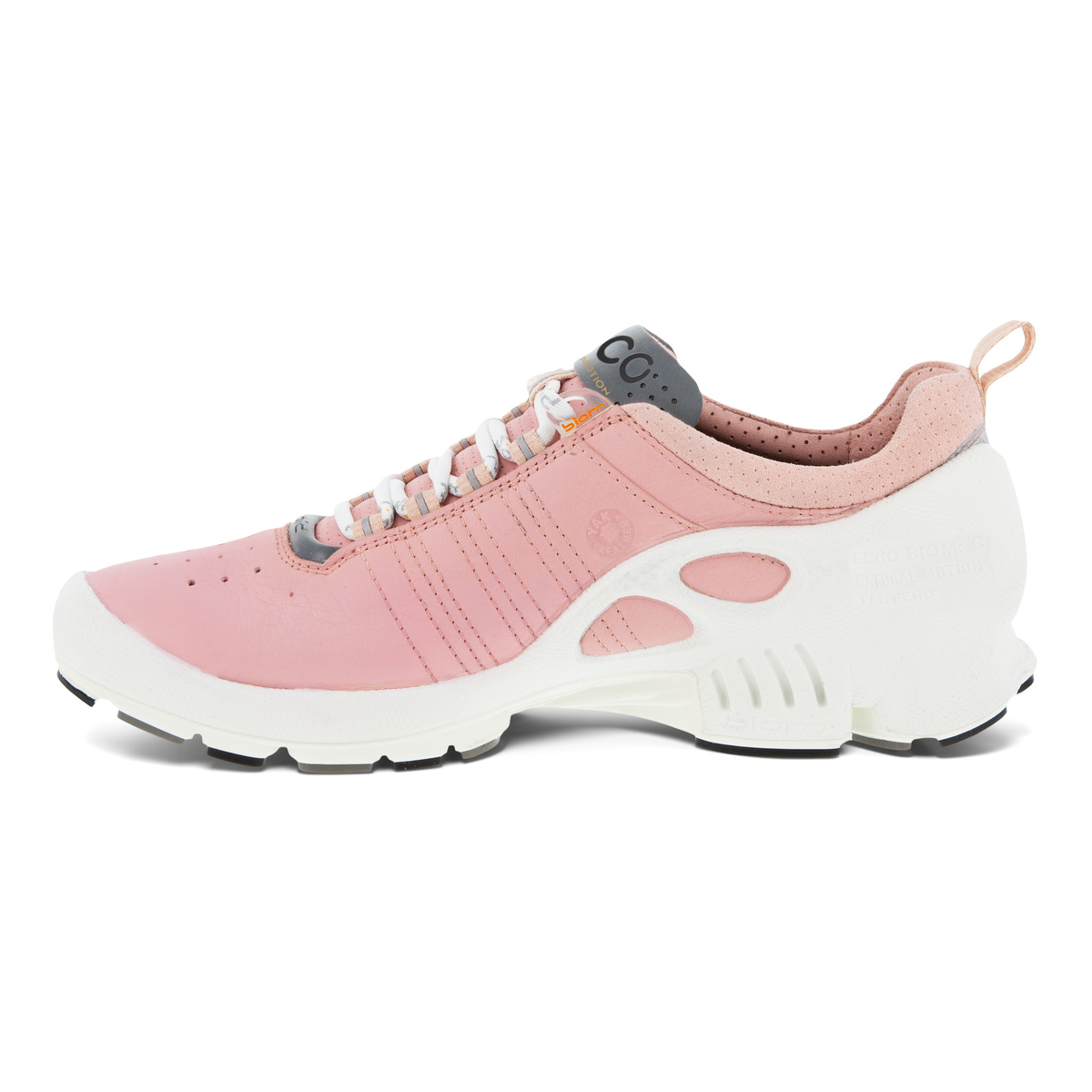 Biom C Ladies + colour