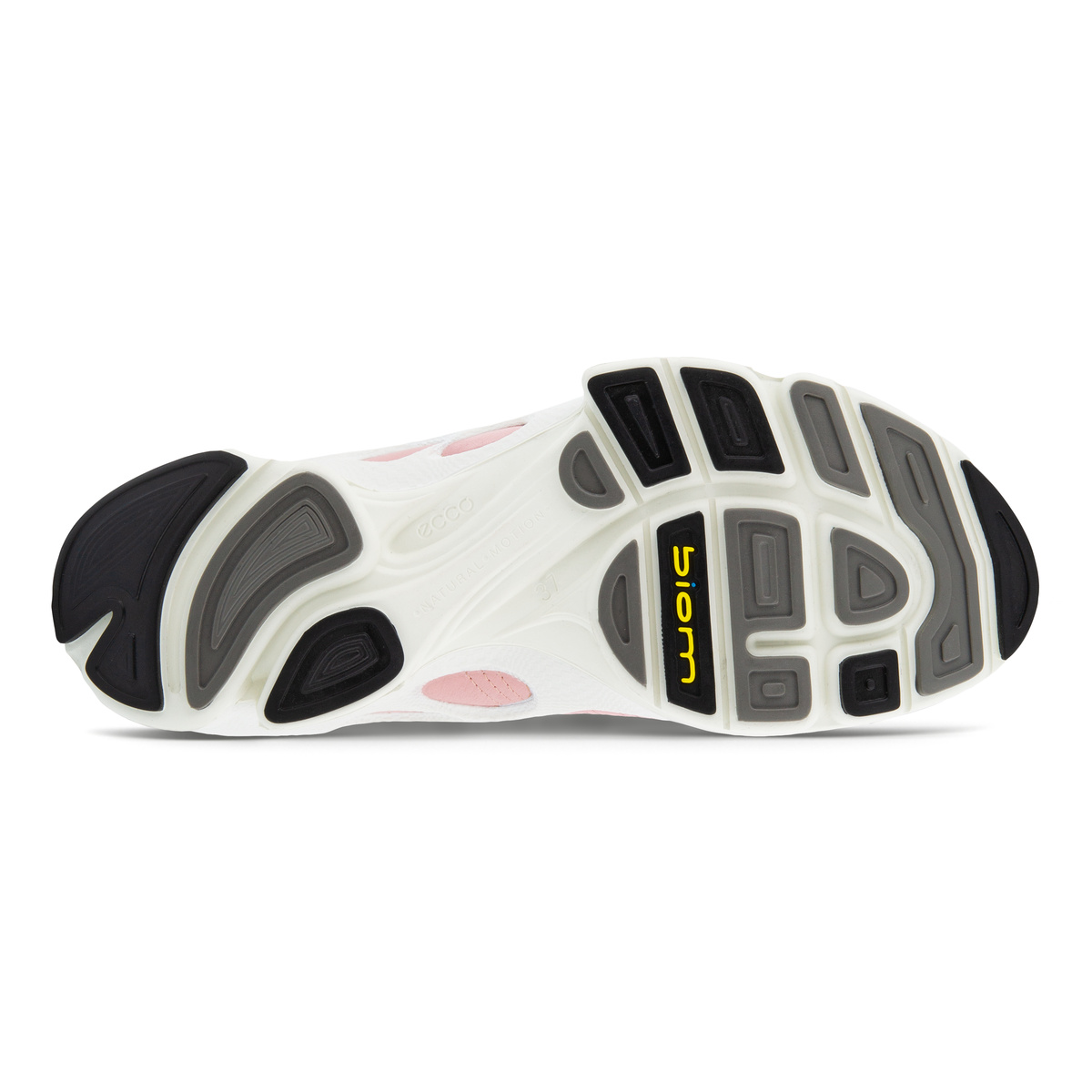 Biom C Ladies + colour