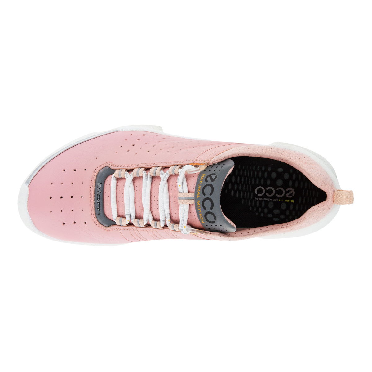 Biom C Ladies + colour