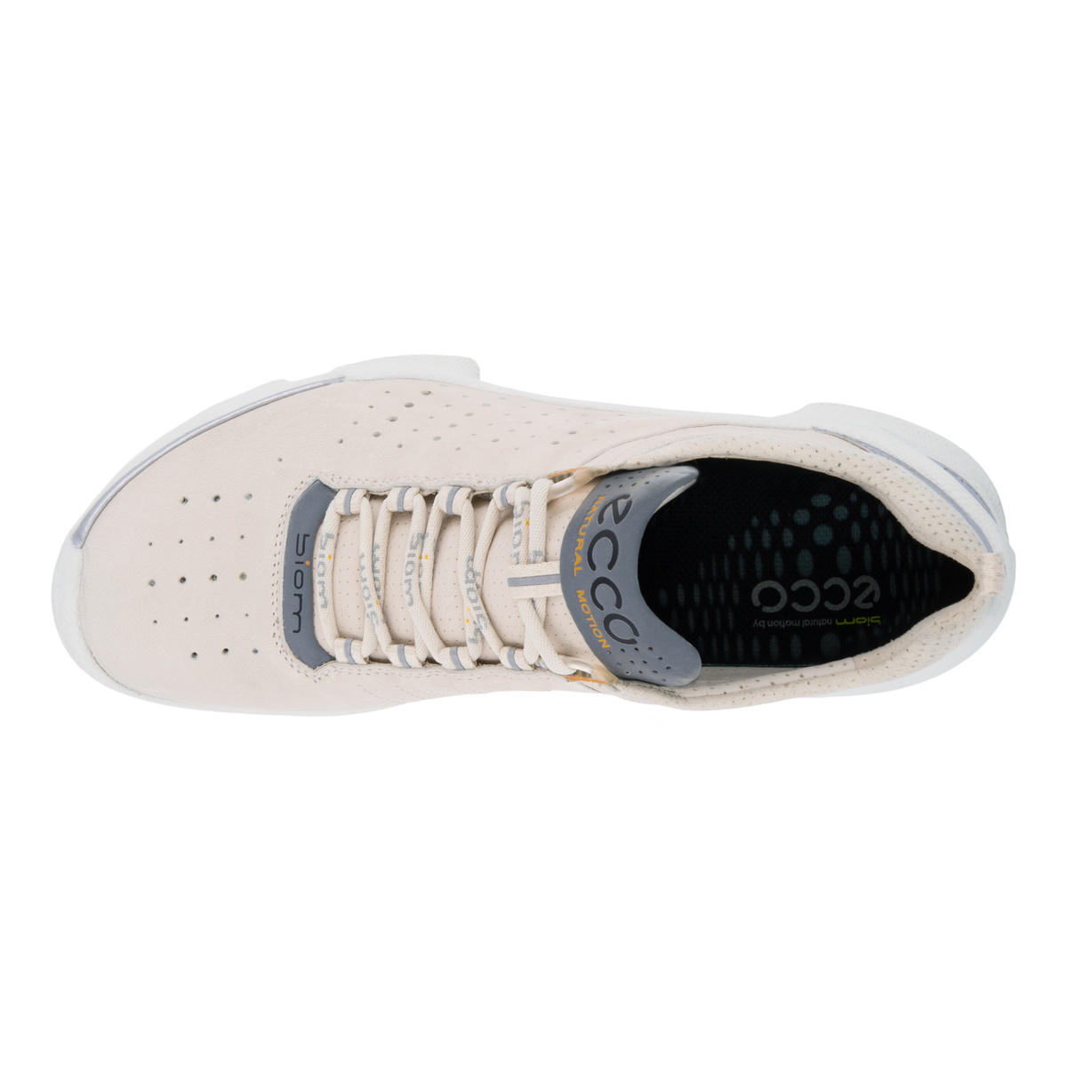 Biom C Ladies + colour