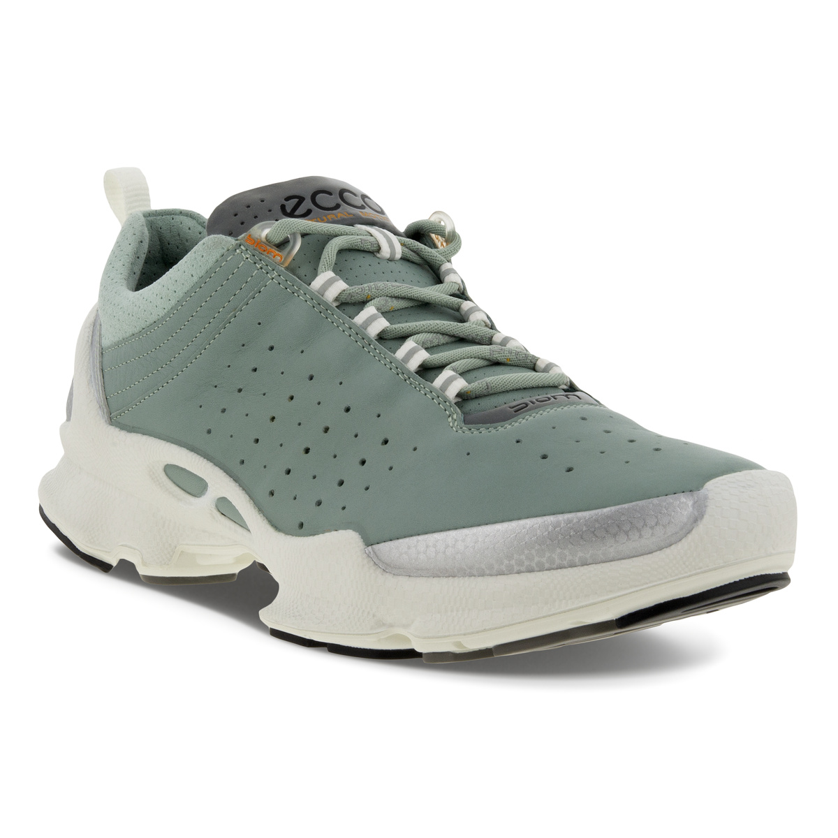 Biom C Ladies + colour