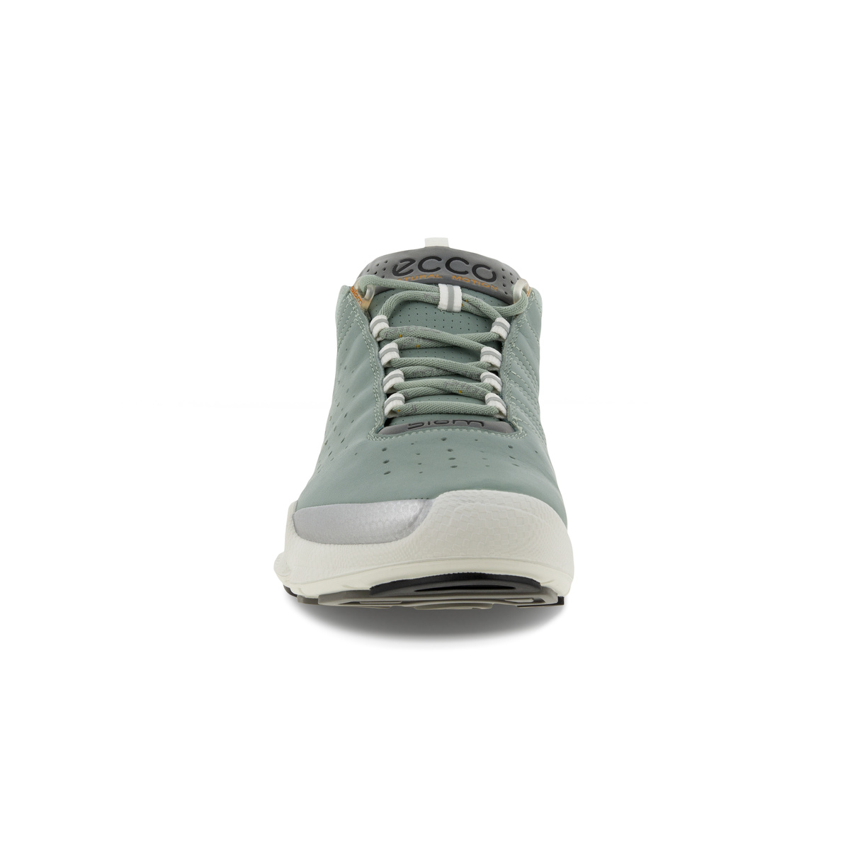 Biom C Ladies + colour