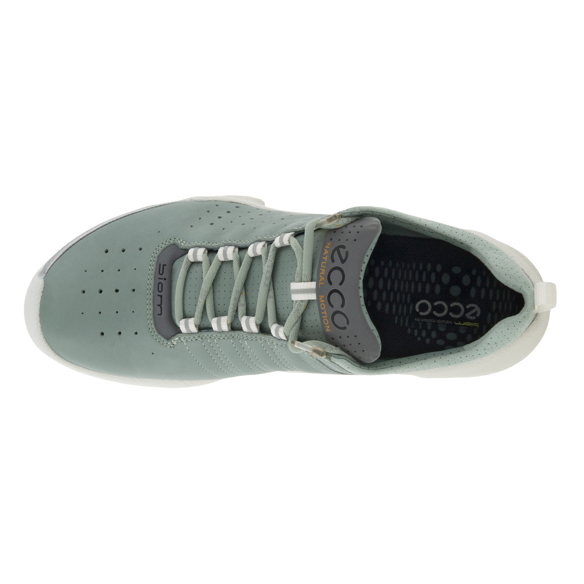 Biom C Ladies + colour