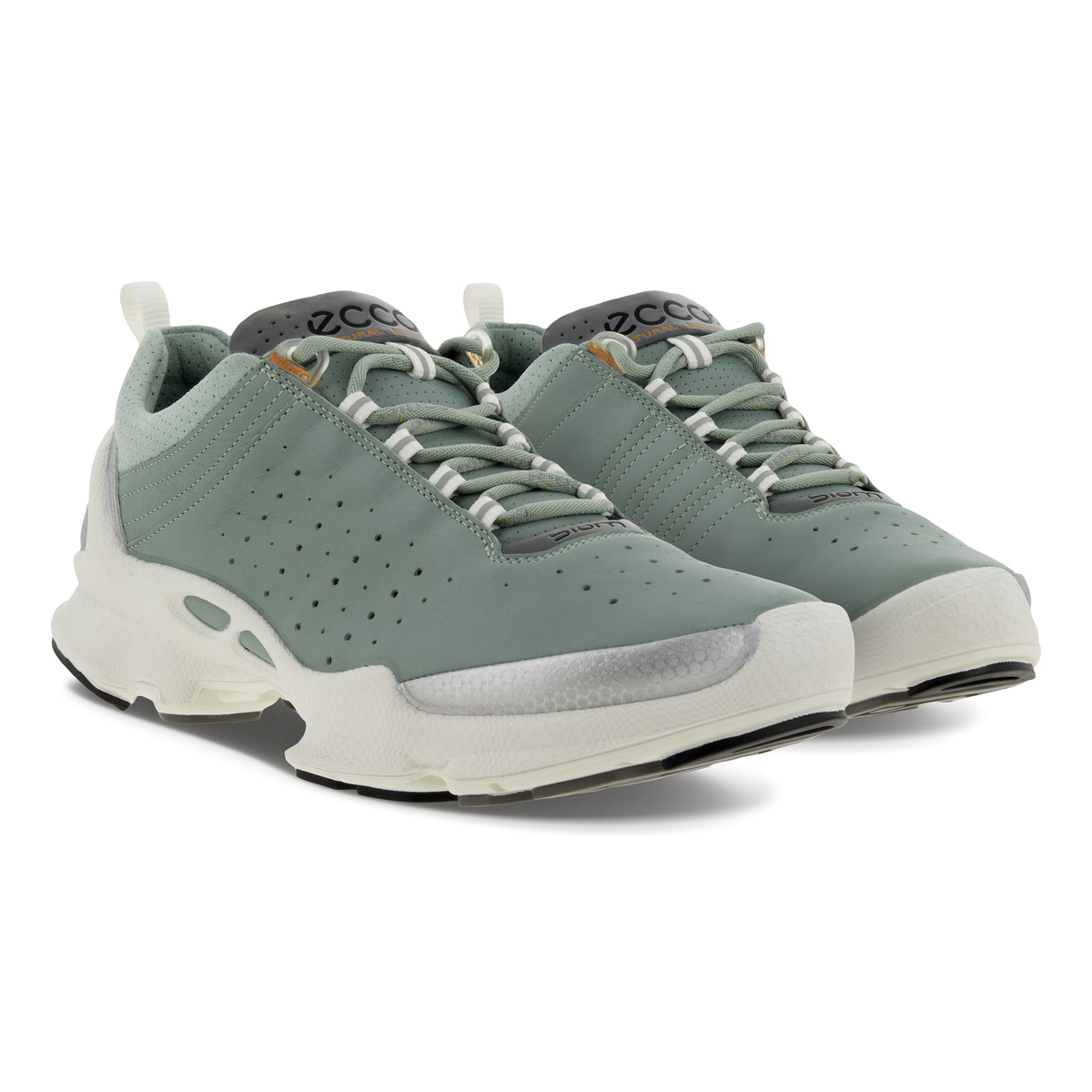 Biom C Ladies + colour