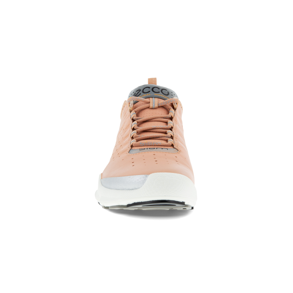 Biom C Ladies + colour