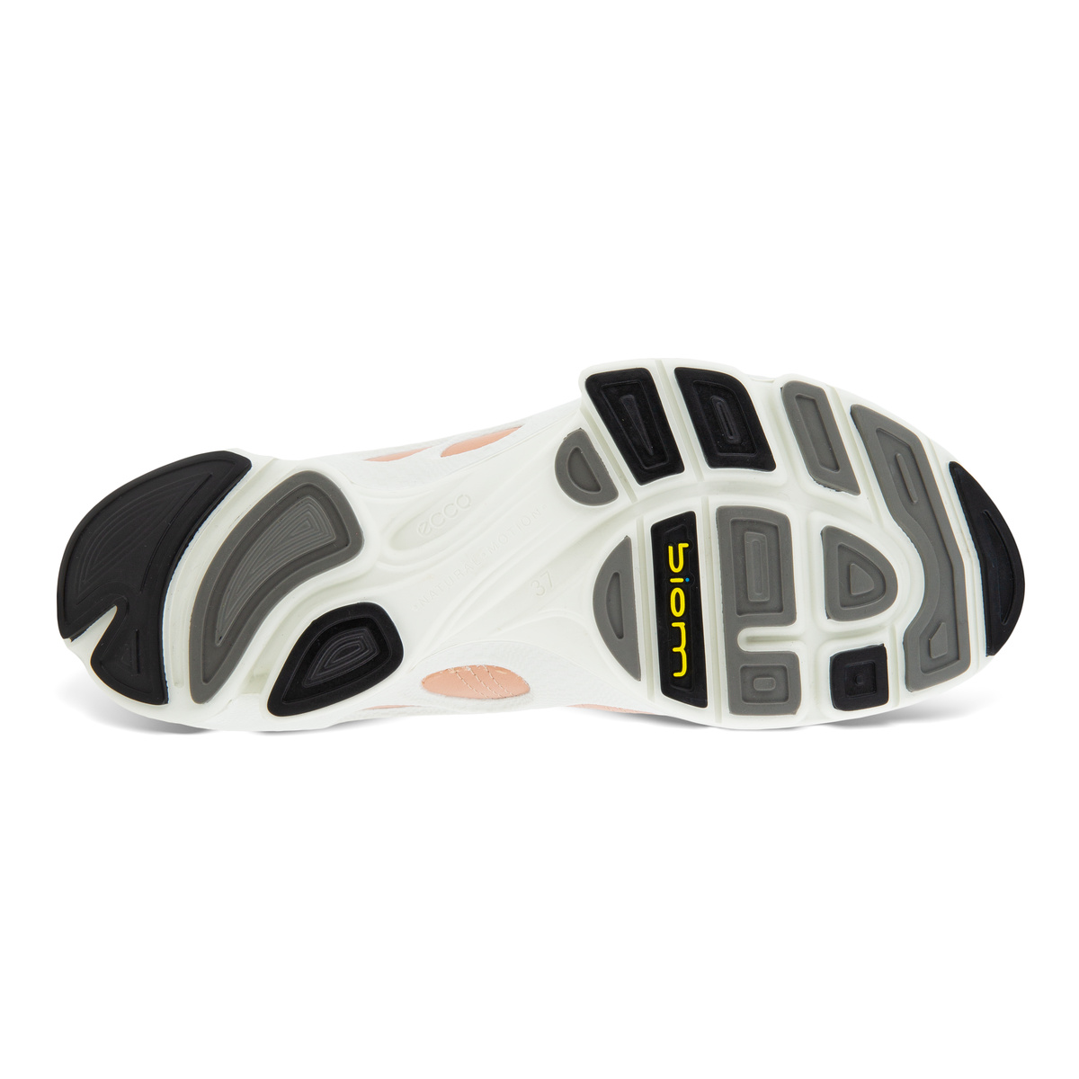 Biom C Ladies + colour