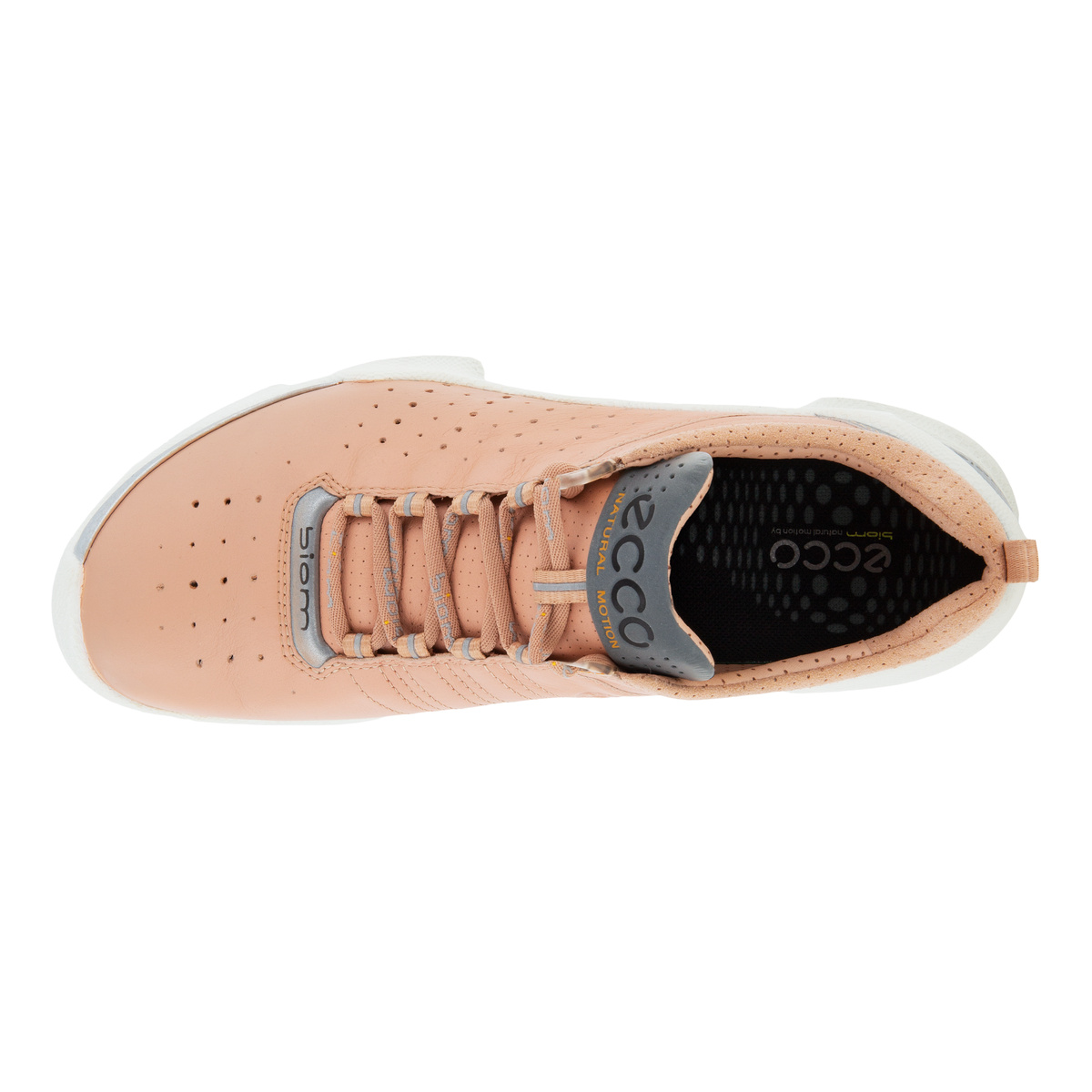 Biom C Ladies + colour