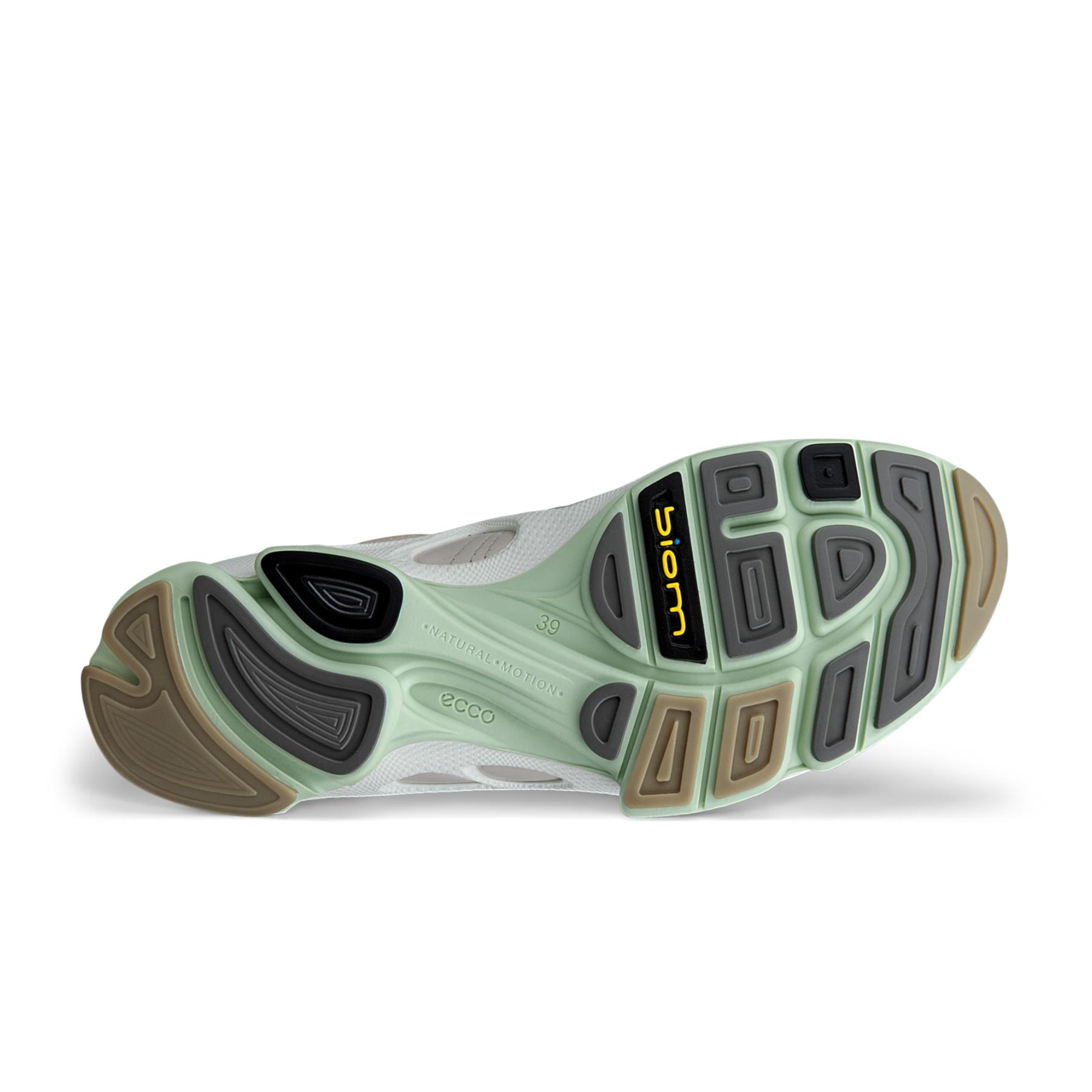 Biom C Ladies + colour
