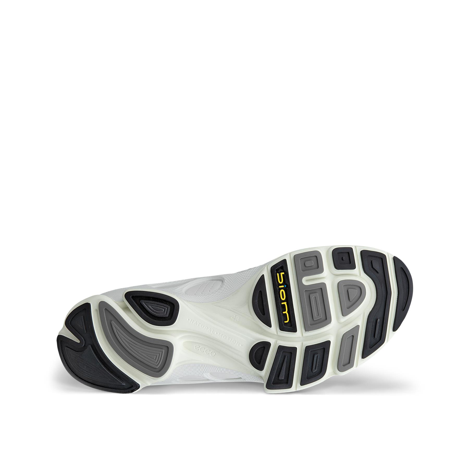 BIOM C - MEN'S + colour
