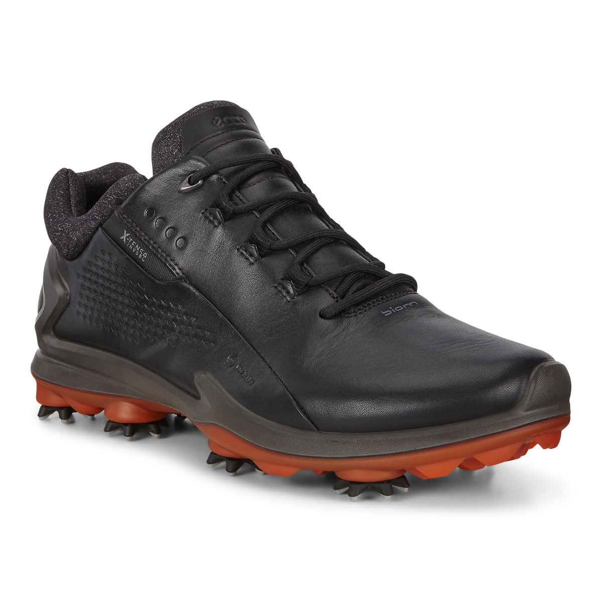 Shop Mens ECCO Shoes NZ