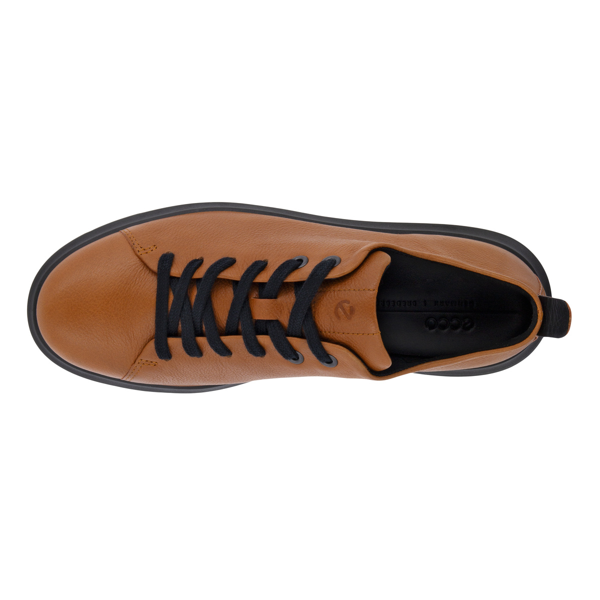 NOUVELLE + colour