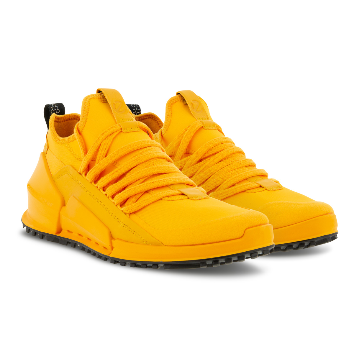 BIOM 2.0 M + colour