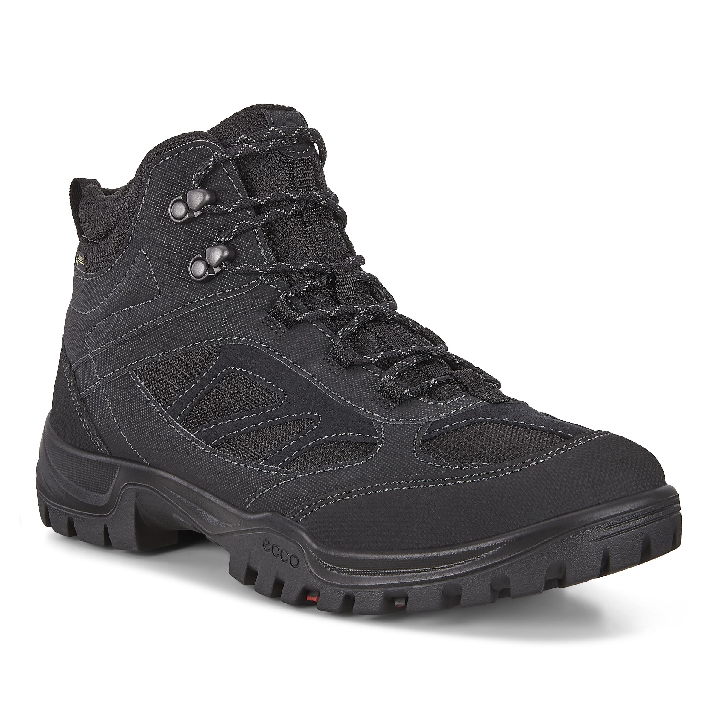 XPEDITION III M