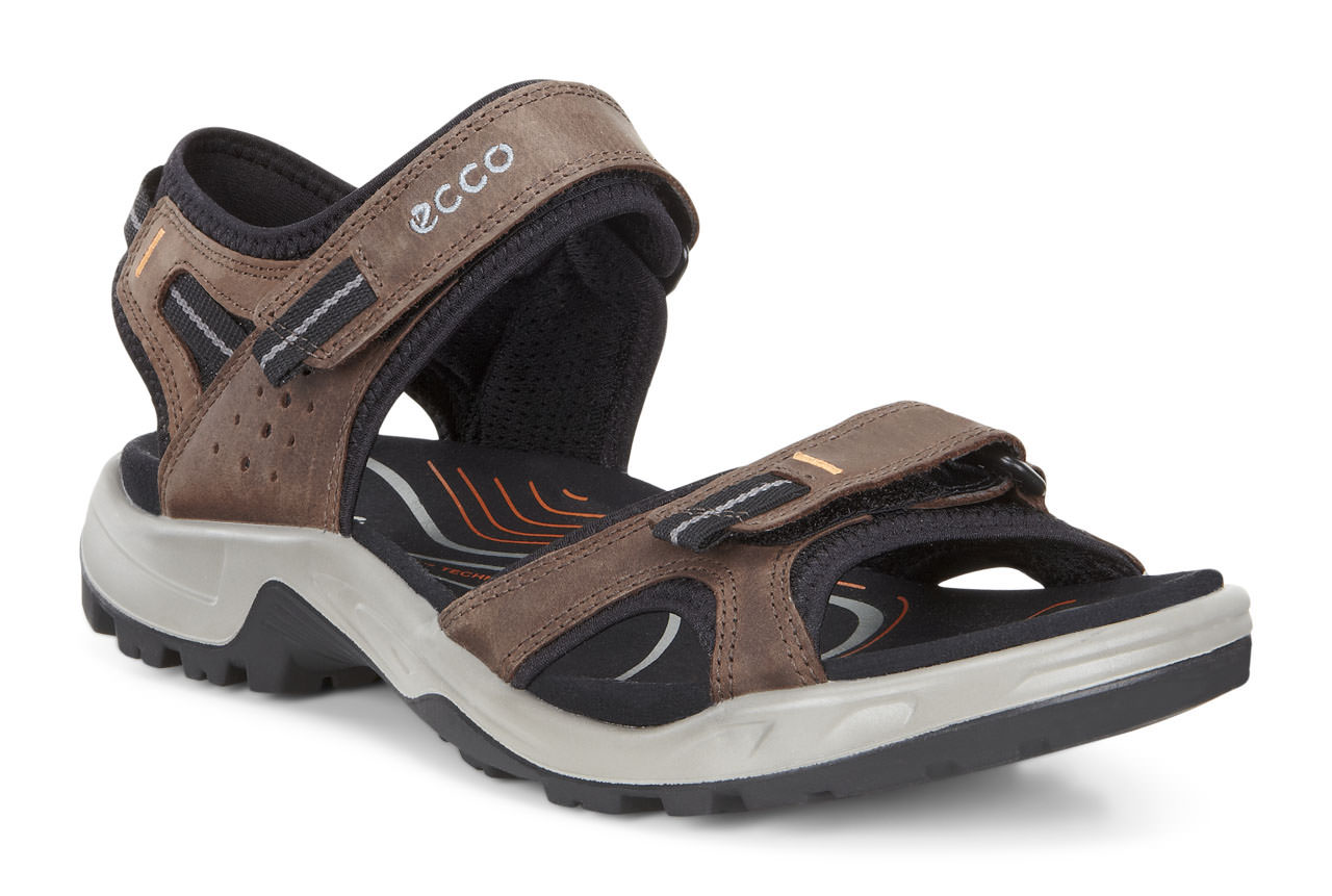 ecco shoes online india