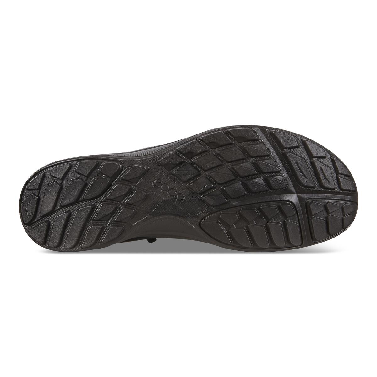 TERRACRUISE LT W + colour