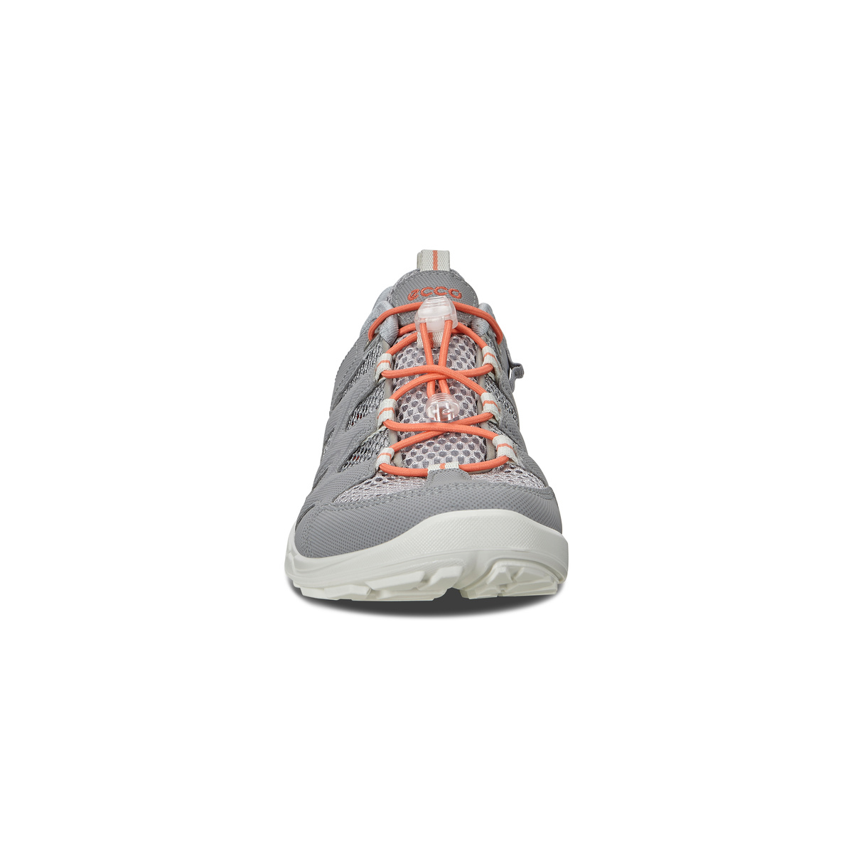 TERRACRUISE LT W + colour