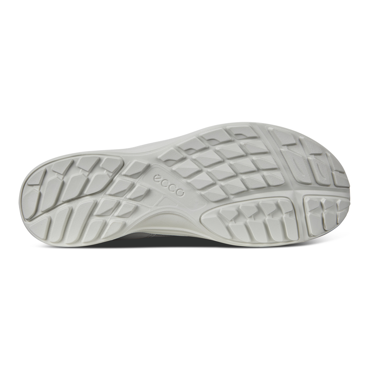 TERRACRUISE LT W + colour