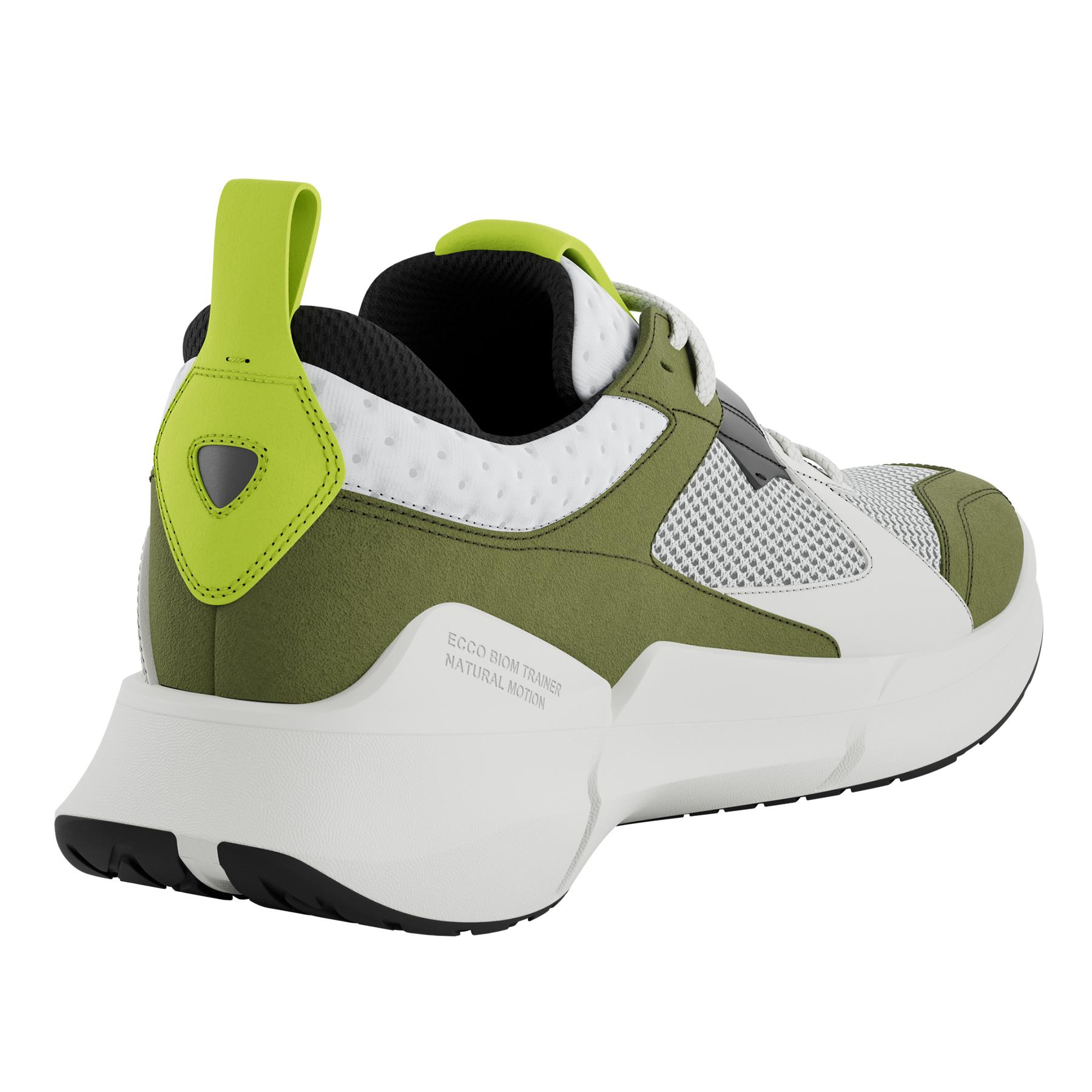 ECCO Biom 2.2 M + colour