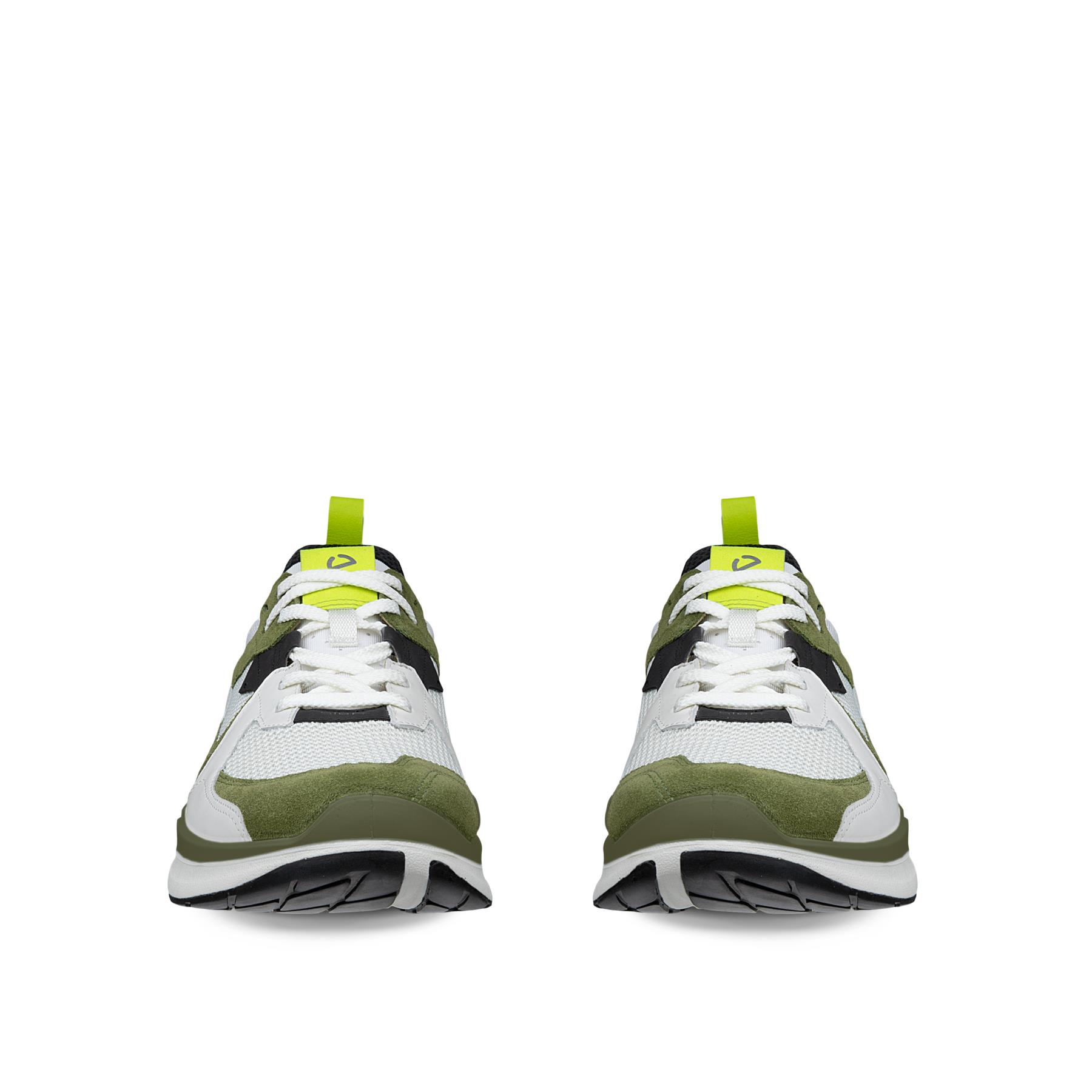 ECCO Biom 2.2 M + colour