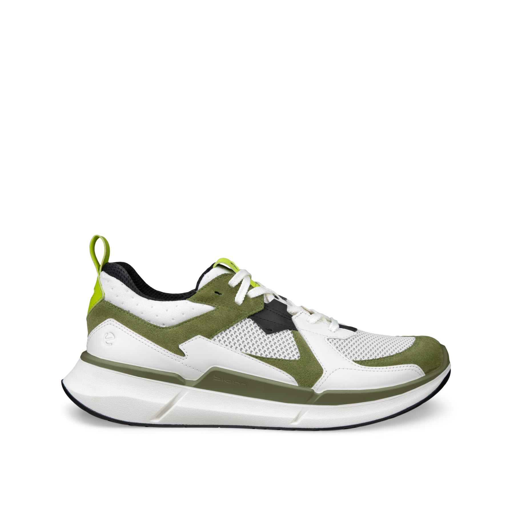 ECCO Biom 2.2 M + colour