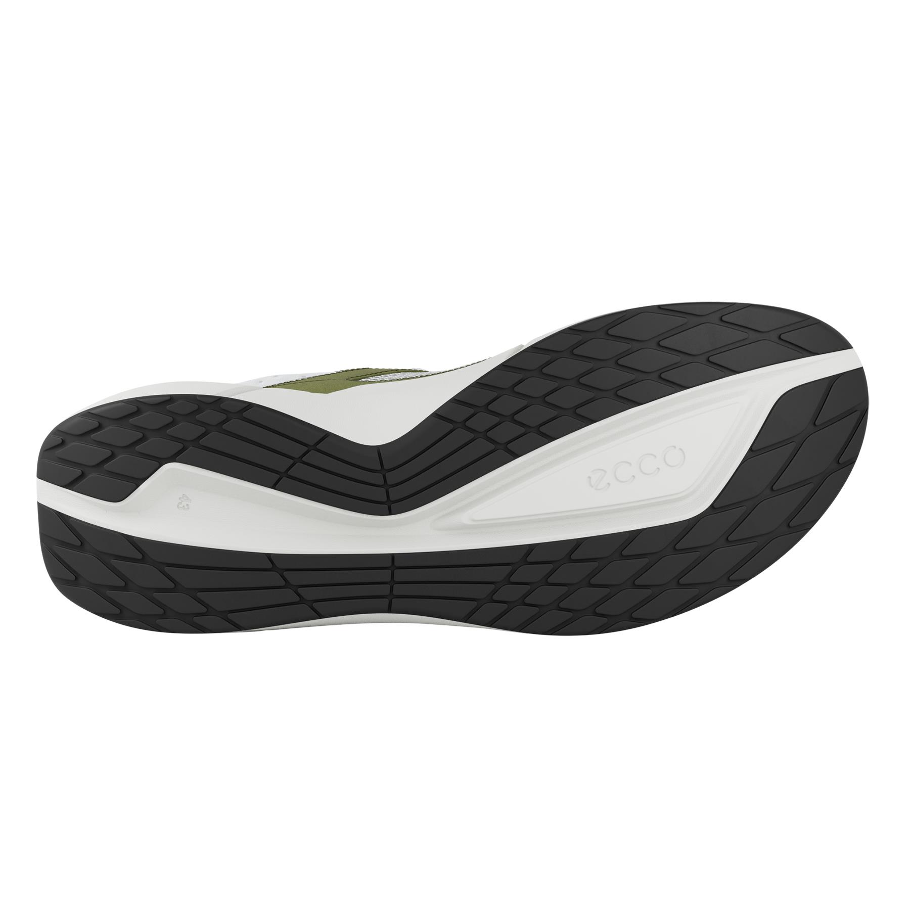 ECCO Biom 2.2 M + colour