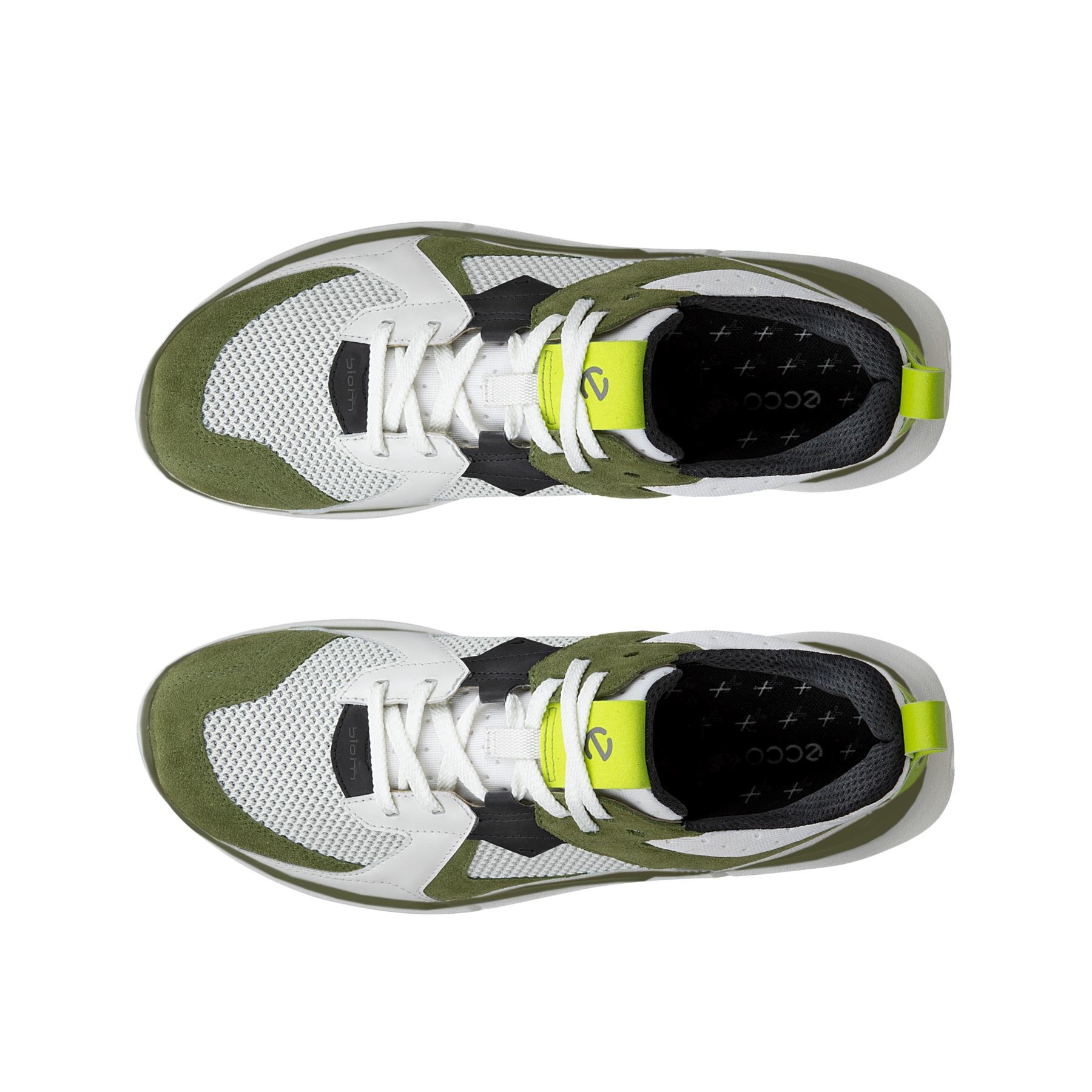 ECCO Biom 2.2 M + colour