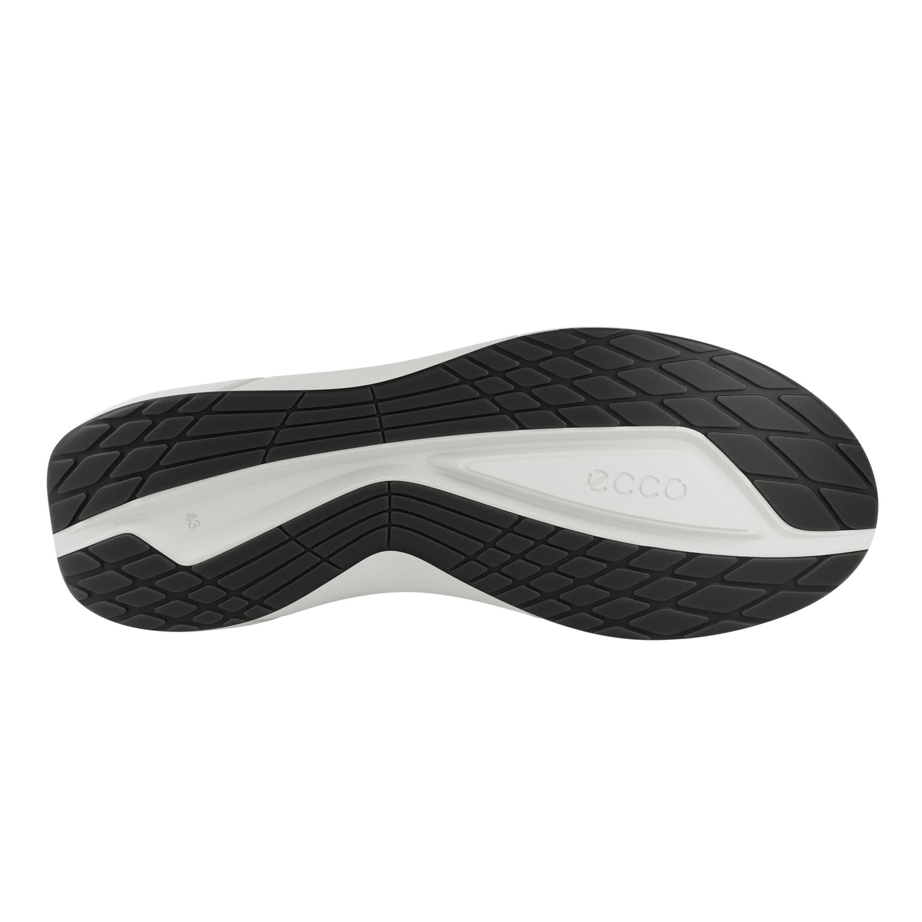 ECCO Biom 2.2 M + colour