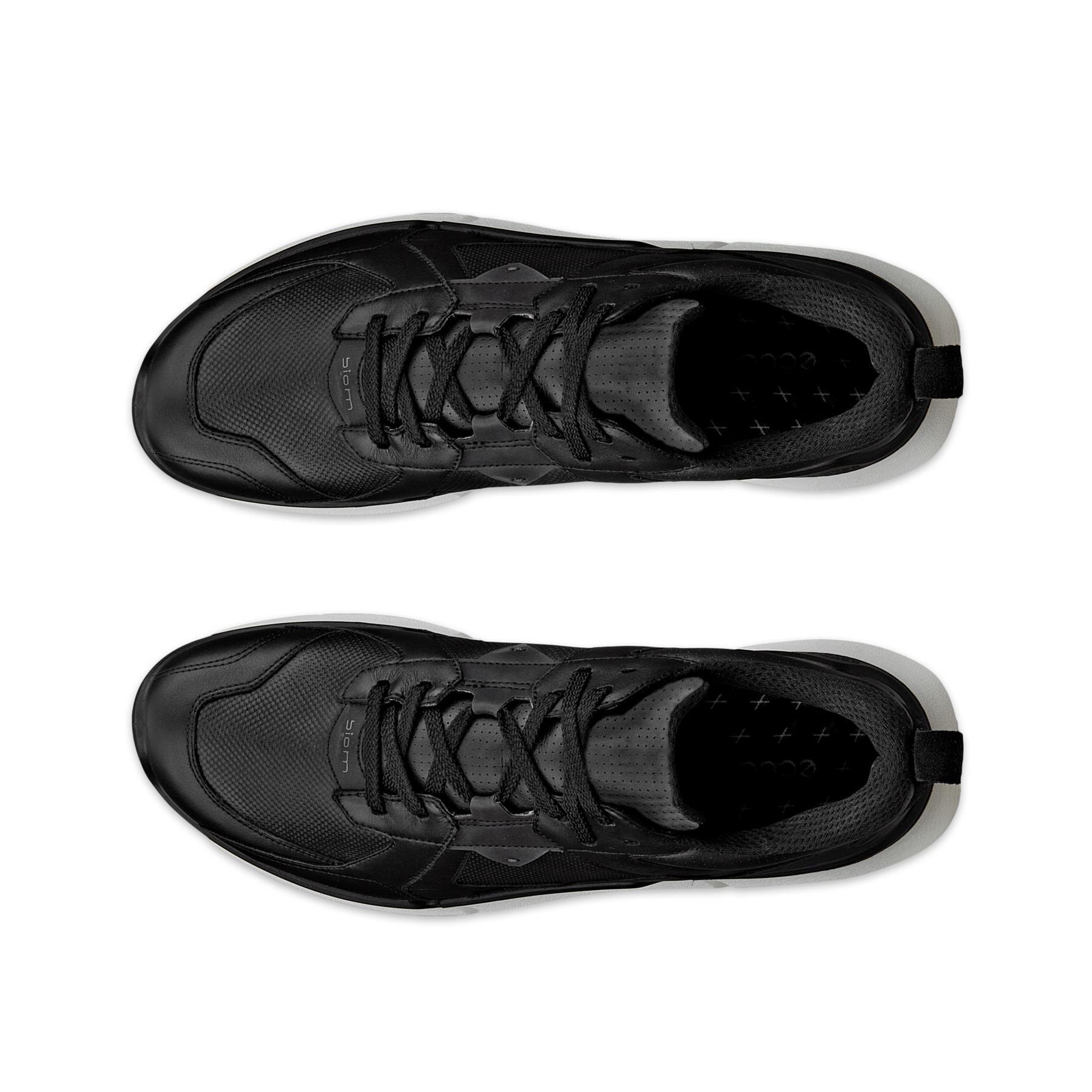 ECCO Biom 2.2 M + colour