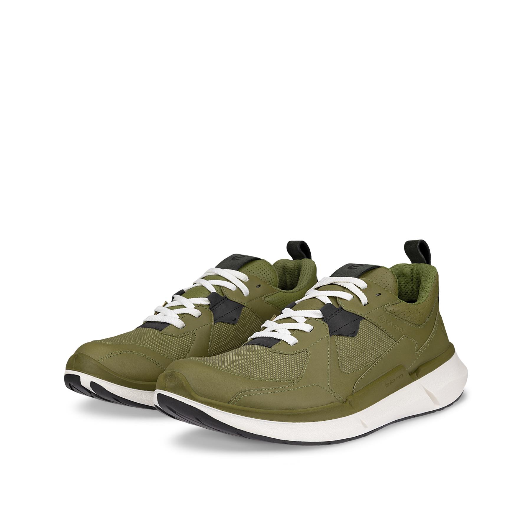 ECCO Biom 2.2 M + colour