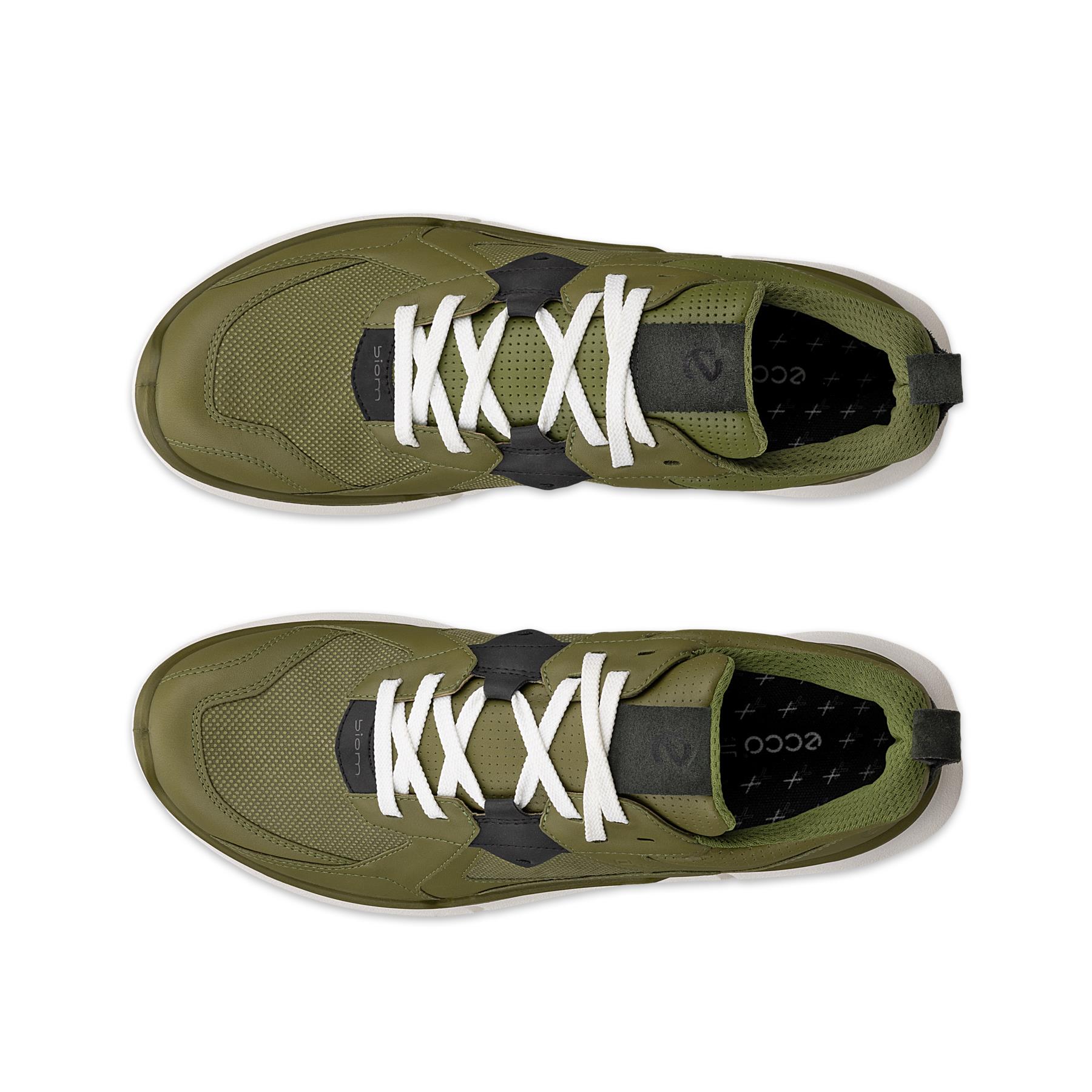 ECCO Biom 2.2 M + colour