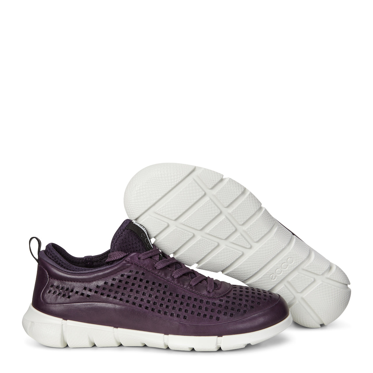 ecco intrinsic 1 purple