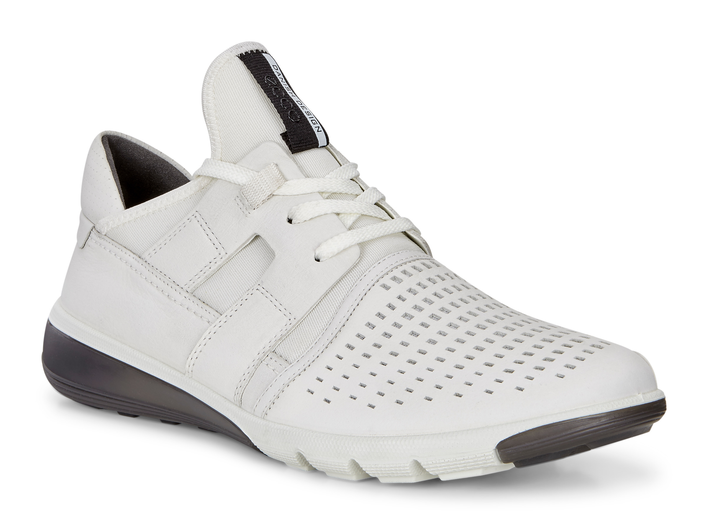 ecco intrinsic 2 men's