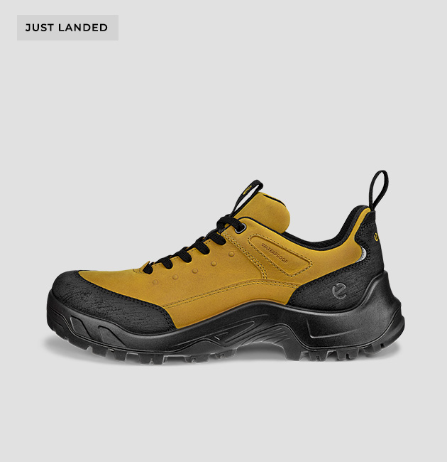 Men's ECCO OFFROAD