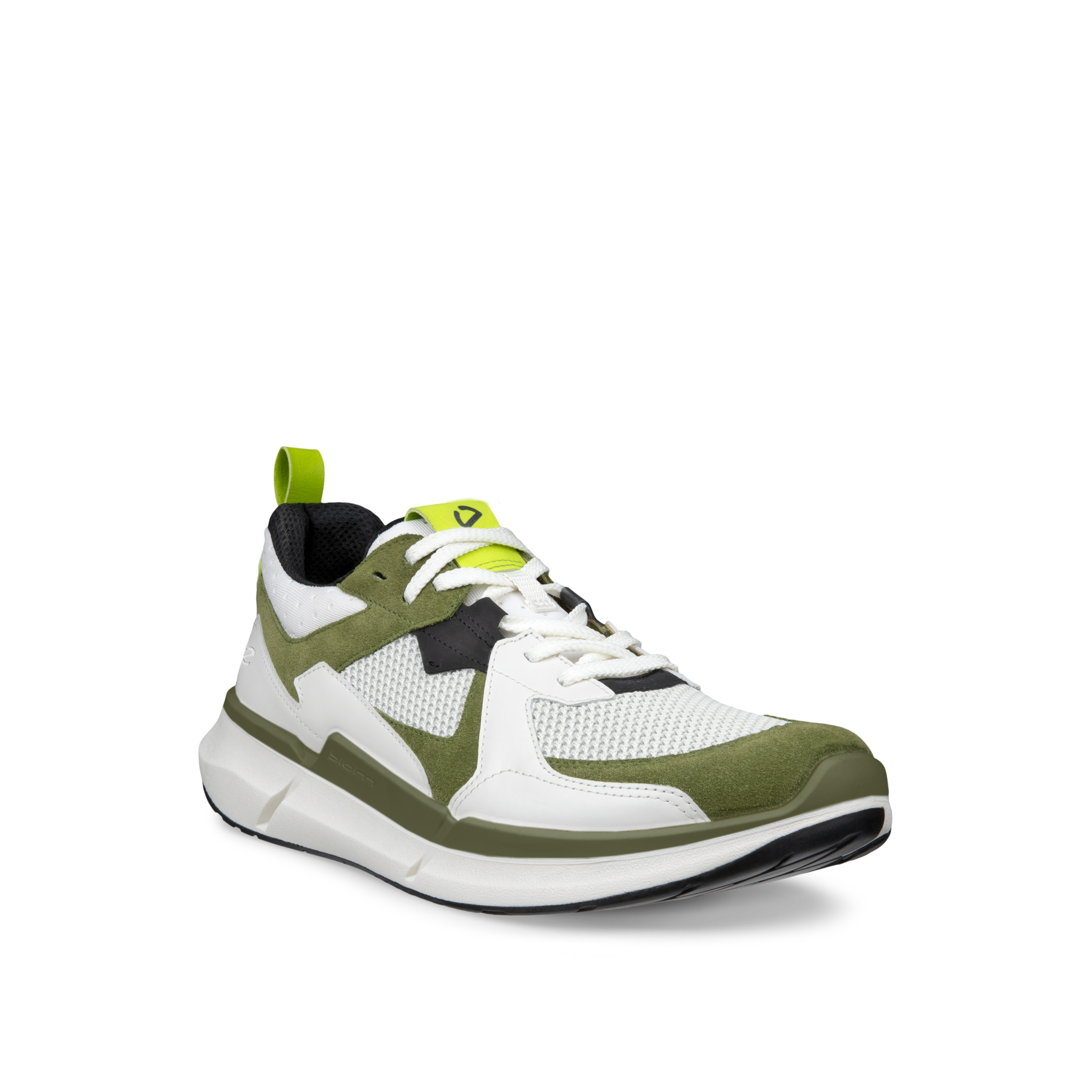 ECCO Biom 2.2 M + colour
