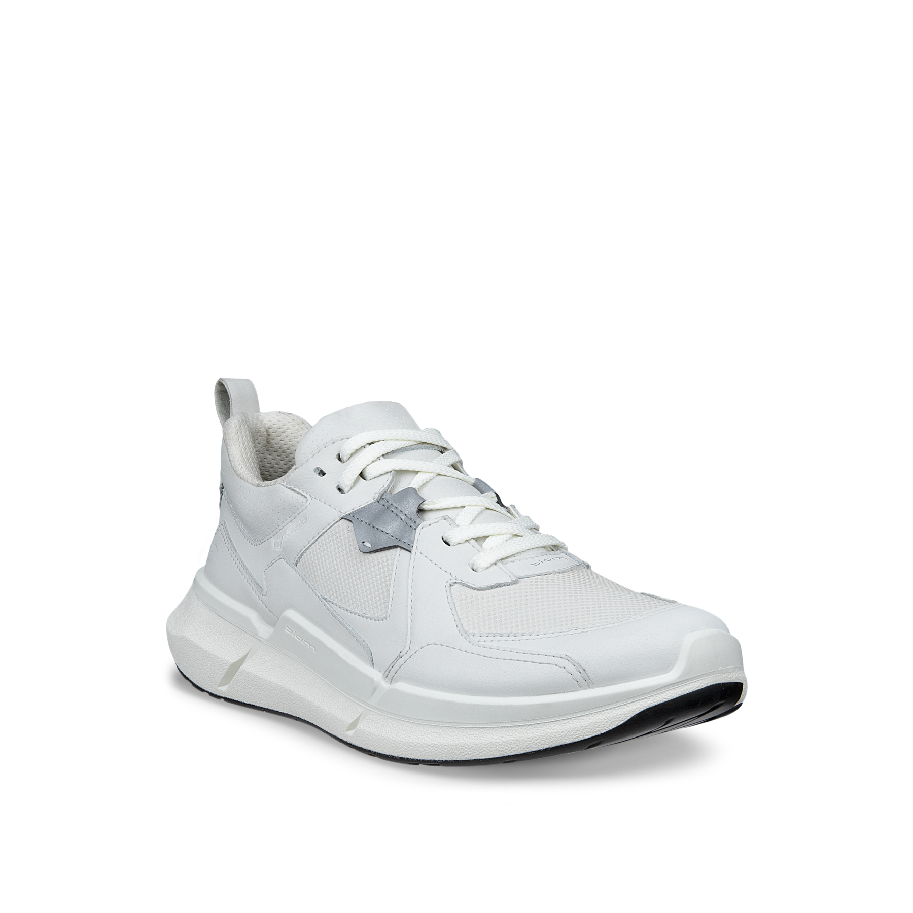 ECCO Biom 2.2 W + colour